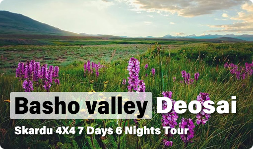 Skardu Tour Packages 2025 8 Bashu-Deosai-Skardu-7-Days-Tour
