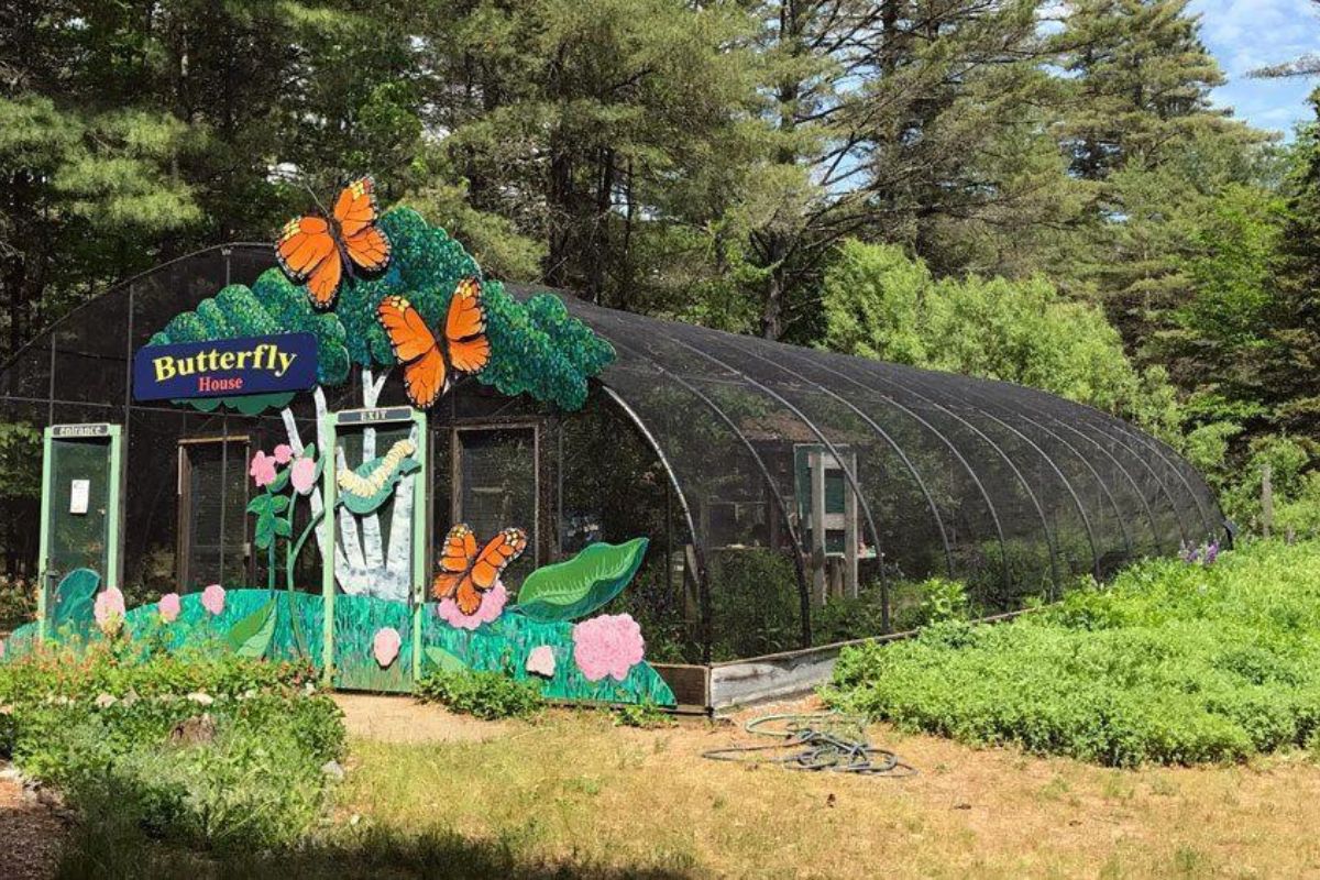 TOP 10 FAMILY PLACES IN PAKISTAN 11 Family Places In Pakistan- Family Vacations in Pakistan