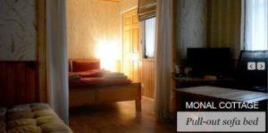 Grey walls Mountain Huts & Cottage 7 Grey wall Cottage with Modern Facility in Naran Tours
