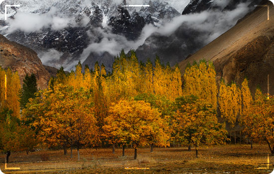Hunza Valley Honeymoon Tour 22 Book your Hunza Valley Honeymoon Tour Package Now: