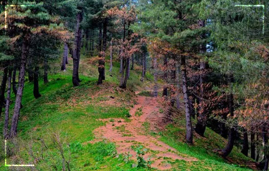 Top Hiking Trails in Pakistan; Book Your Hiking Tour Now 2 Top Hiking Trails in Pakistan; Book Your Hiking Tour Now Miranjani-Trek