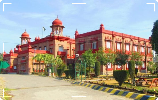 Complete Travel Guide Of Peshawar Tours 13 Travel Guide Of Peshawar Tours: Peshawar Museum