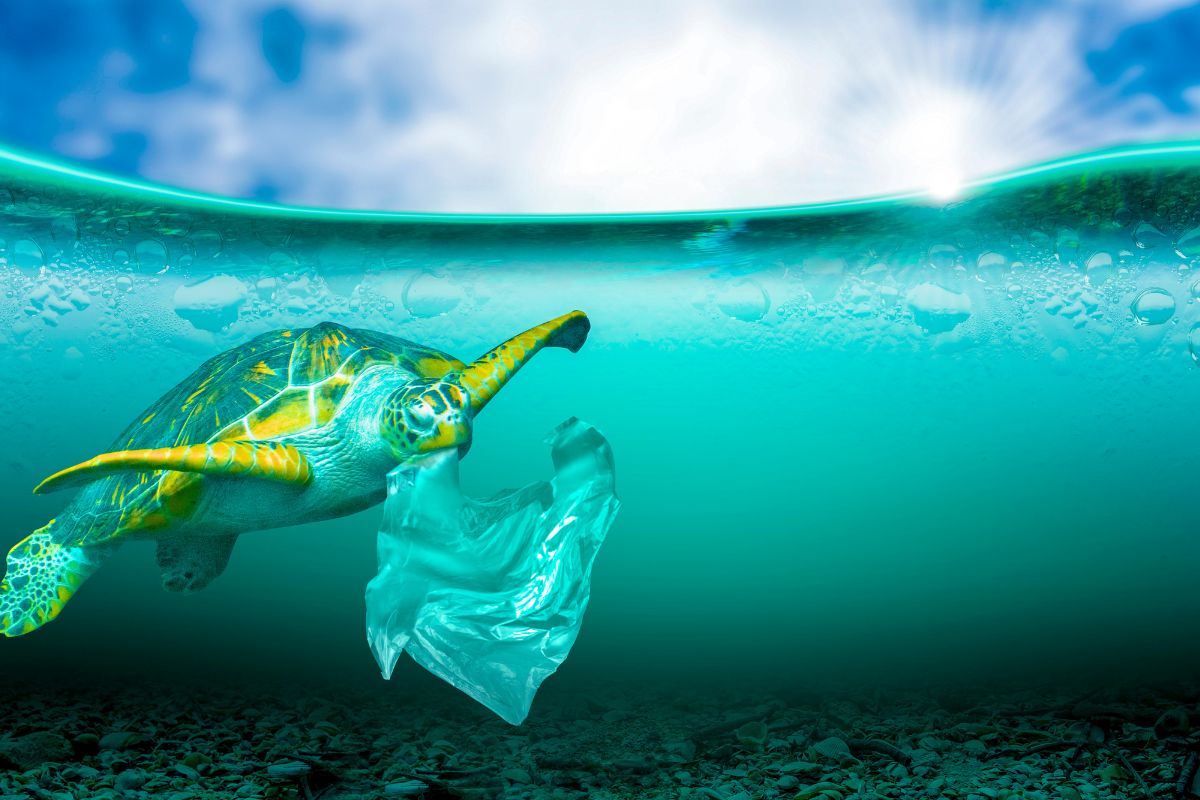 Climate Change in Pakistan: Why Our Glacier Melting? 8 Understanding the Effects of Climate Change in Pakistan - Pakistan Tour and Travel