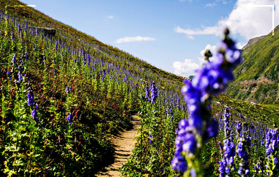 Top Hiking Trails in Pakistan; Book Your Hiking Tour Now 3 Ratti-Gali-Trek