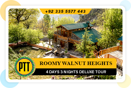Swat Tour Packages 2025 1 Roomy-Walnut-4-Days-DLX-Tour