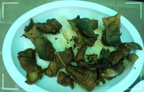 Food Of Naran Kaghan Valley, A Unique Style Of Cooking 6 Food Of Naran Kaghan Valley- Trout Fish