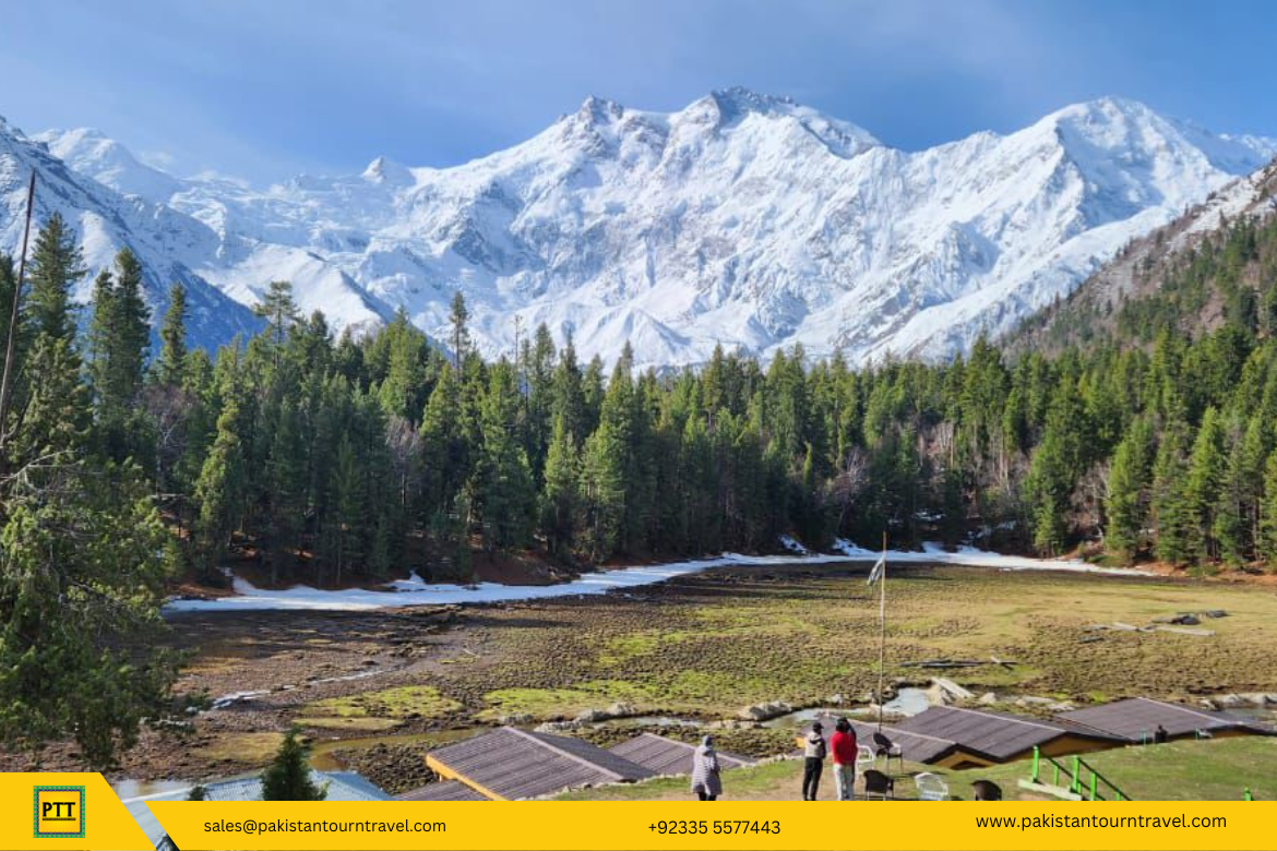 How to reach Fairy Meadows? A Guide 3 How to reach Fairy Meadows? Complete Guide - Pakistan Tour and Travel blog