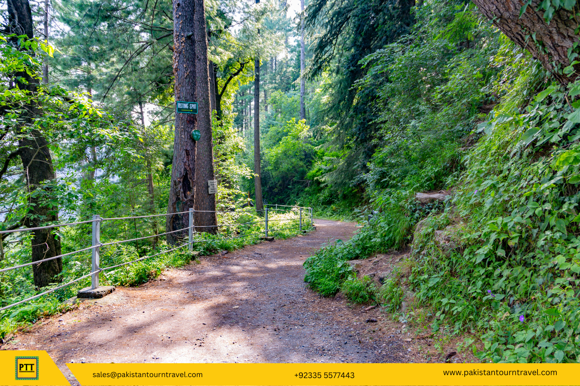 Top 10 Things to Do in Murree That Aren’t in Every Tourist Guide 6 Top 10 Things to Do in Murree That Aren’t in Every Tourist Guide - pakistan tour n travel blog