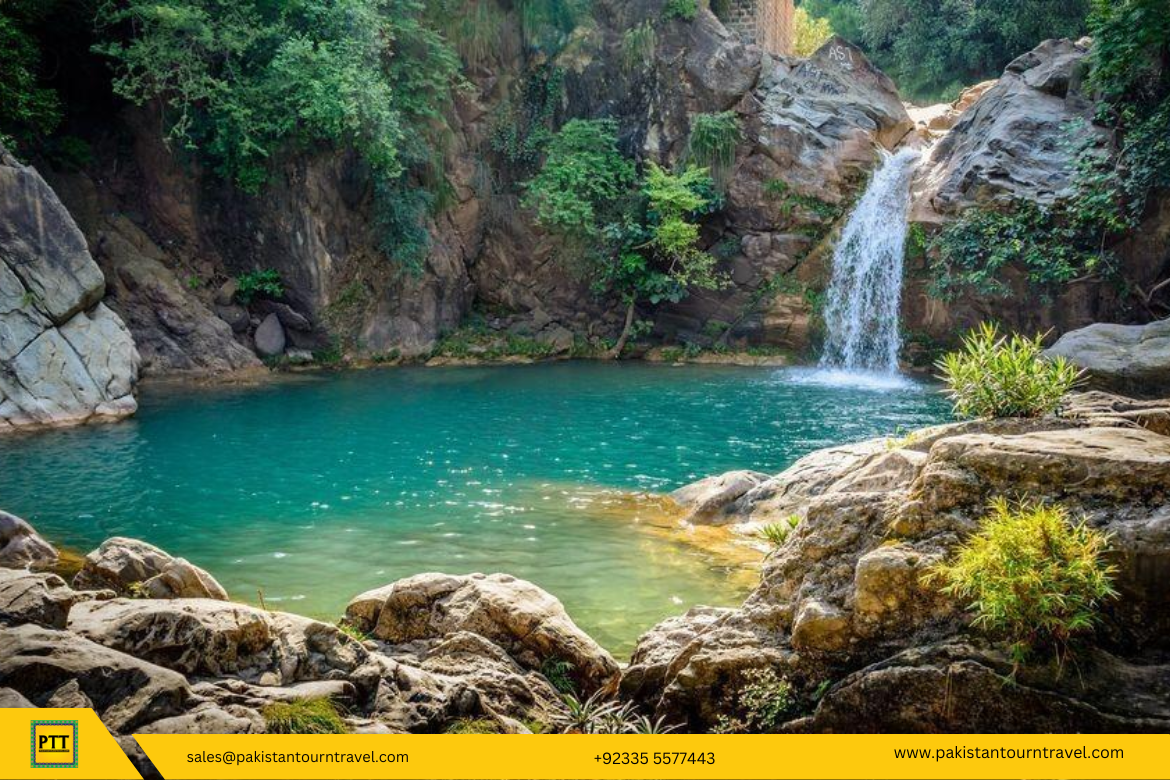 Top 10 Things to Do in Murree That Aren’t in Every Tourist Guide 3 Top 10 Things to Do in Murree That Aren’t in Every Tourist Guide - pakistan tour n travel blog