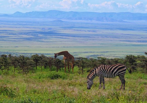 Things to Know When Visiting Pakistan 3 Things to Know When Visiting Pakistan