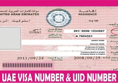 Complete UAE Visa Guide For Pakistani 5 Complete UAE Visa Guide For Pakistani 2022