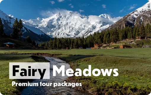 Pakistan Tour Packages 2025 6 Fairy-Meadows-Image