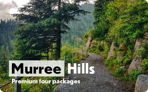 Pakistan Tour Packages 2025 5 Murree-Hills-Image