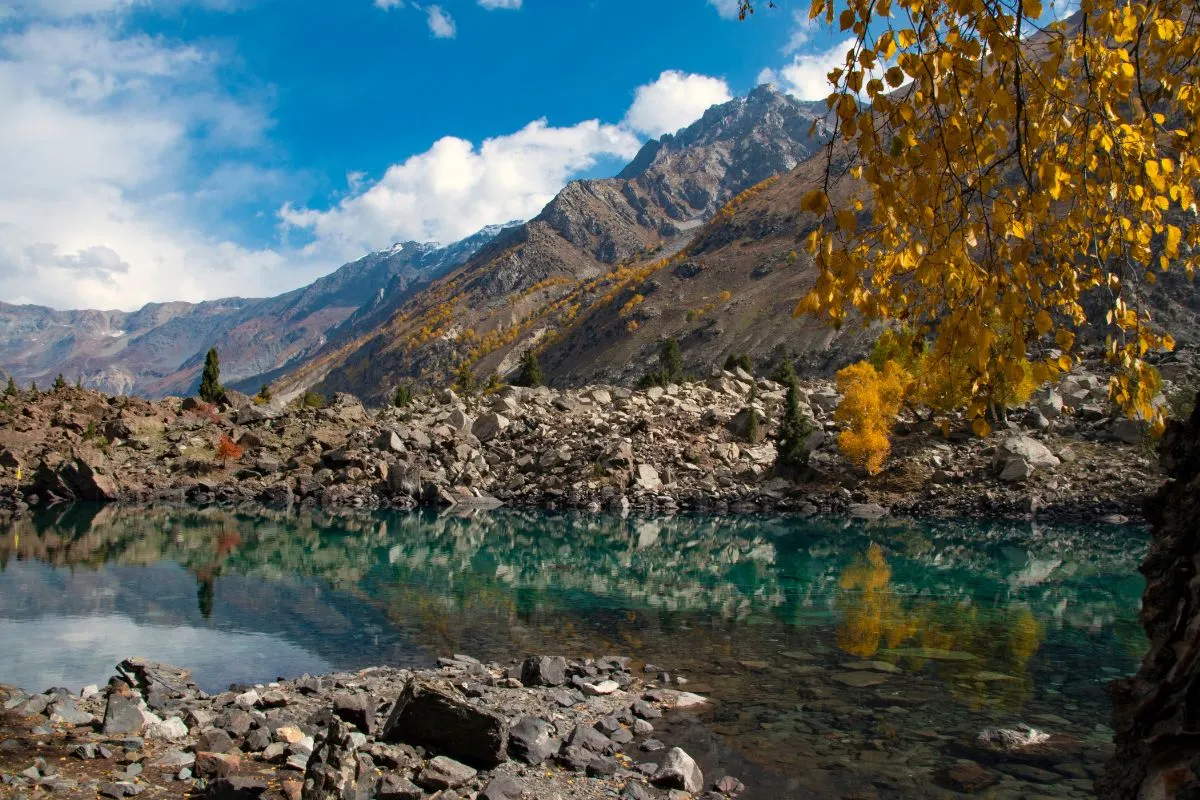 Naltar Valley – Places To Visit In Naltar Valley 7 Naltar Valley - Places To Visit In Naltar Vallley : Pakistan Tour n Travel