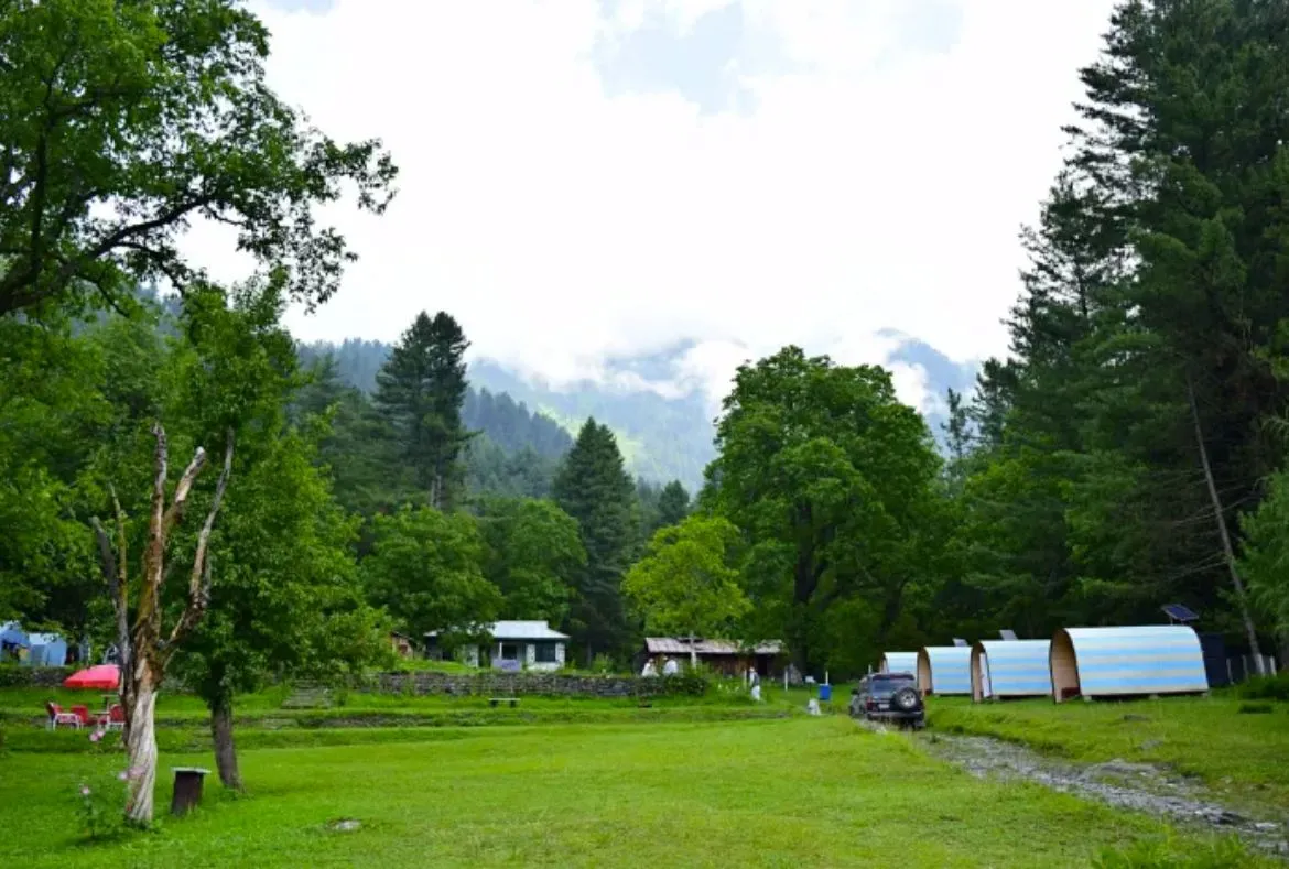 Sharan Forest: Unexplored Valley With Magnificent Views 3 Sharan Forest: A Beautiful Place in Kaghan Valley - Pakistan Tour n travel