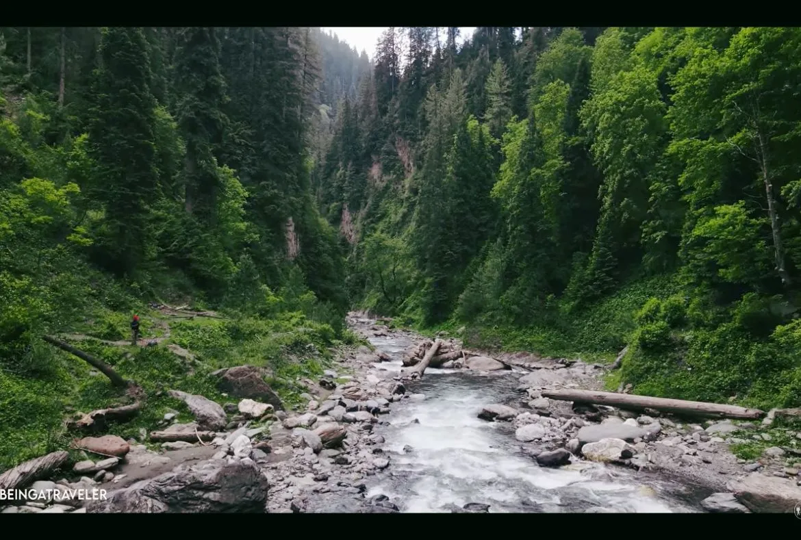 Sharan Forest: Unexplored Valley With Magnificent Views 7 Sharan Forest: A Beautiful Place in Kaghan Valley - Pakistan Tour n travel